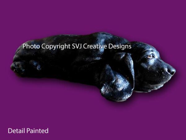 SVJ Creative Designs